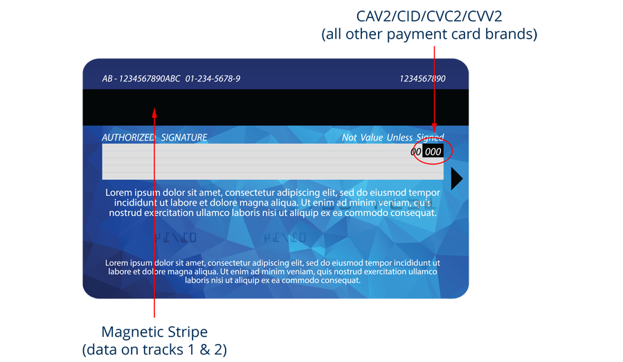 Credit card back data